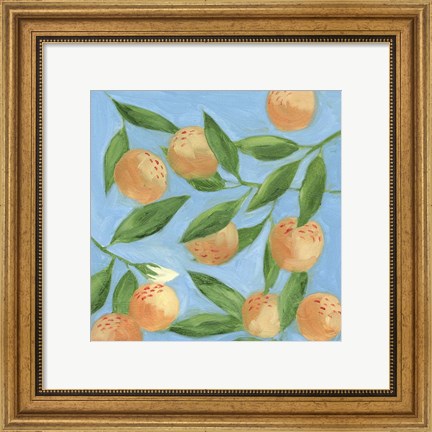 Framed Sweet Tangerine II Print