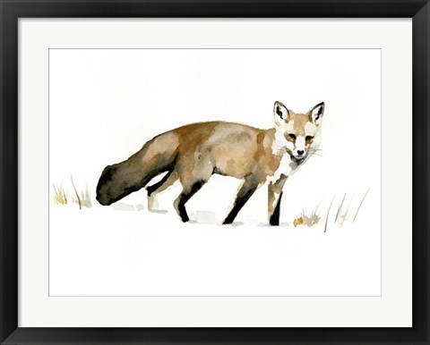 Framed Winter Fox I Print