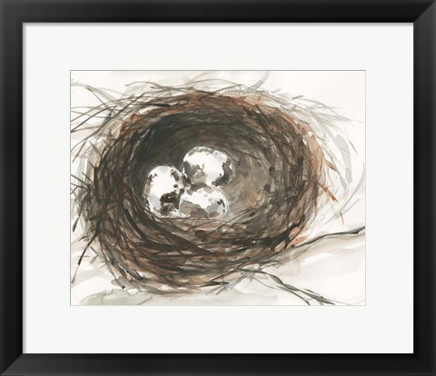 Framed Nesting Eggs III Print