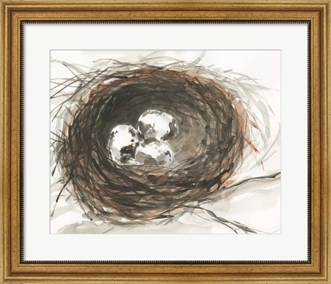Framed Nesting Eggs III Print