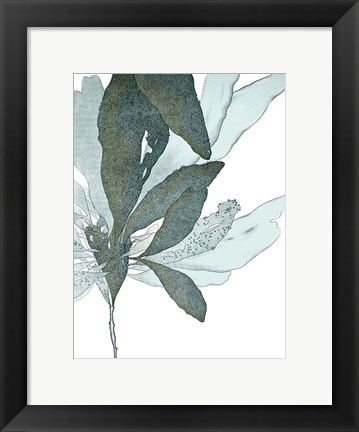 Framed Seaside Seaweed I Print