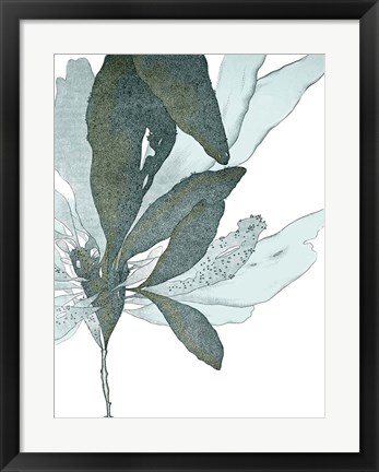 Framed Seaside Seaweed I Print