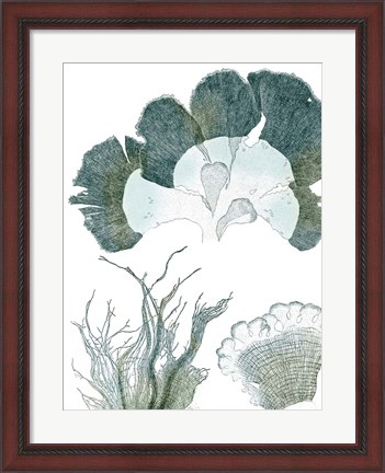 Framed Seaside Seaweed II Print