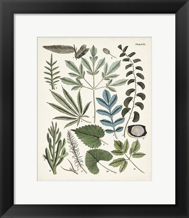 Framed Fanciful Ferns VII Print