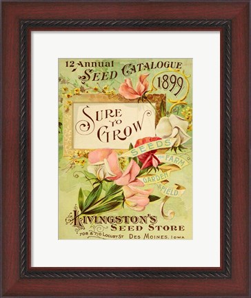 Framed Antique Seed Packets VIII Print