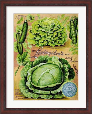 Framed Antique Seed Packets XII Print