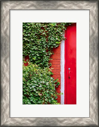 Framed Red Garden Door Print