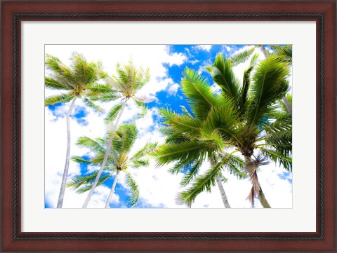 Framed Hawaii Oahu Palms Print