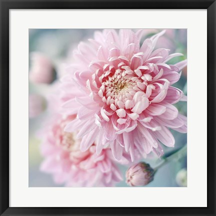 Framed Romantic Blossom Print