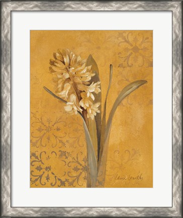 Framed Hyacinth I Print