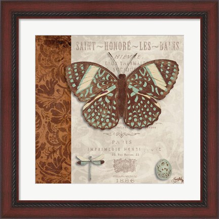 Framed Butterfly on Display I Print