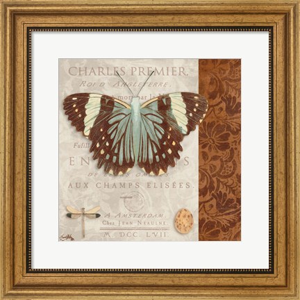 Framed Butterfly on Display II Print