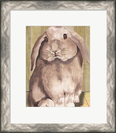 Framed Bunny II Print
