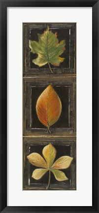 Framed Three Leaves II Print