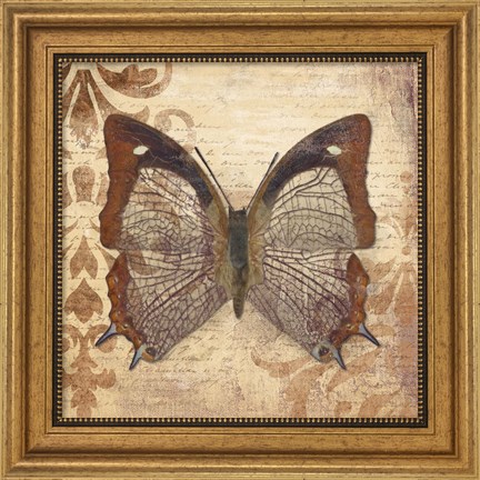 Framed Butterfly Print