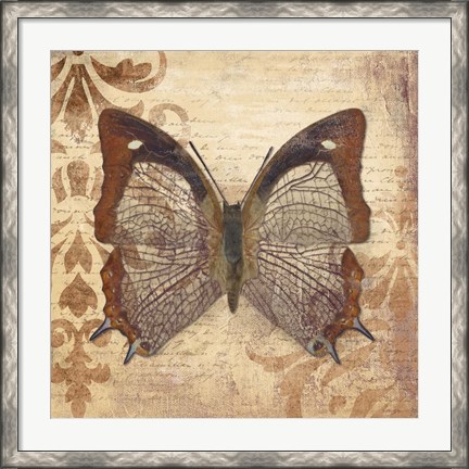 Framed Butterfly Print