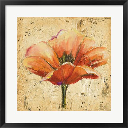 Framed Poppy III Print