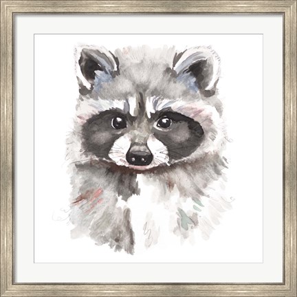Framed Baby Raccoon Print