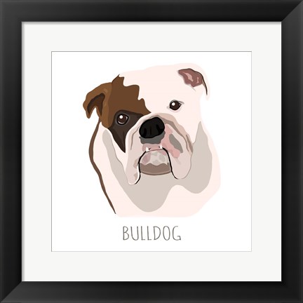 Framed Bull Dog Print