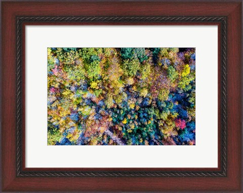 Framed Aerial Fall Trees Print