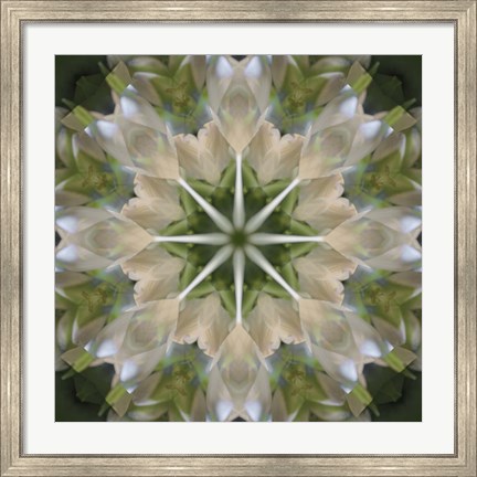 Framed Colorful Kaleidoscope 5 Print
