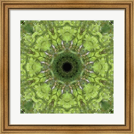Framed Colorful Kaleidoscope 11 Print