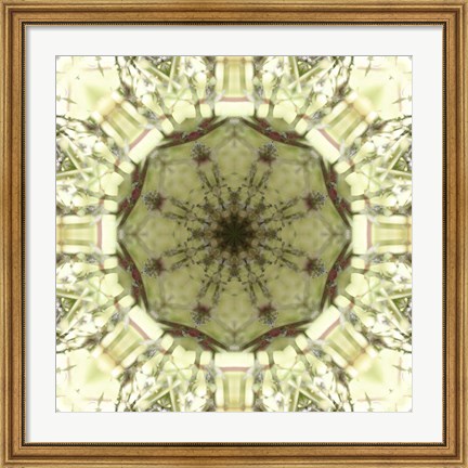 Framed Colorful Kaleidoscope 13 Print