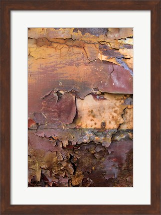 Framed Graffiti and Rust on Old Train Cars Print