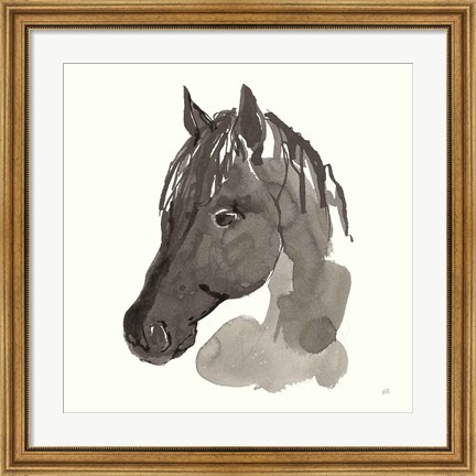 Framed Horse Portrait II Print