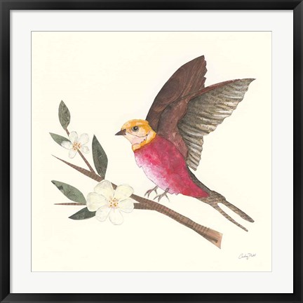 Framed Birds and Blossoms IV Print