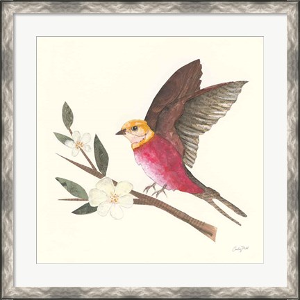 Framed Birds and Blossoms IV Print