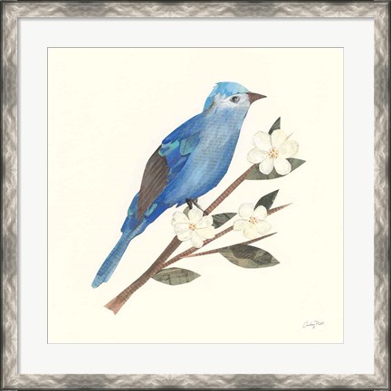 Framed Birds and Blossoms III Print