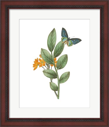 Framed Greenery Butterflies I Print