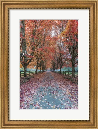 Framed Autumn Country Lane Print