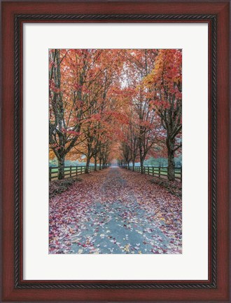 Framed Autumn Country Lane Print