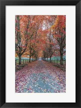 Framed Autumn Country Lane Print