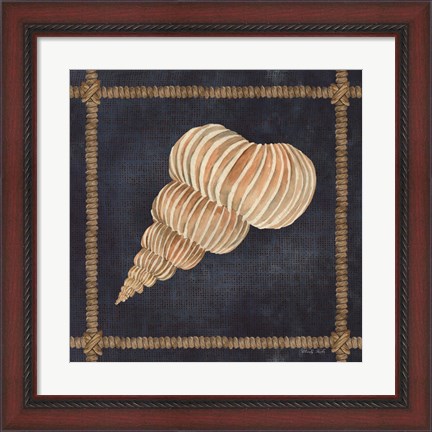 Framed Seashell on Navy III Print