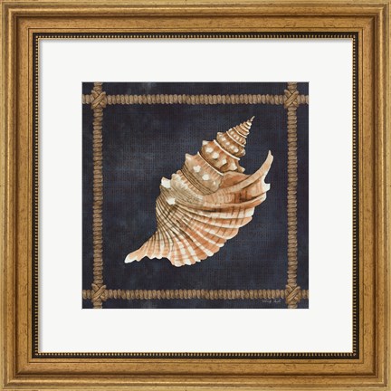 Framed Seashell on Navy V Print
