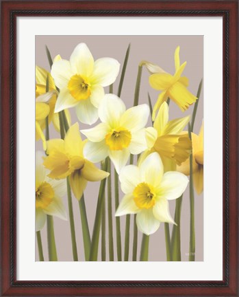 Framed Spring Daffodils Print