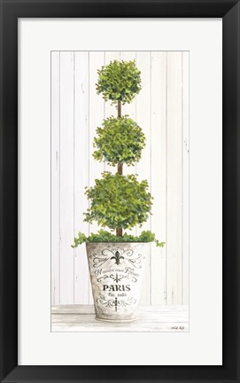 Framed Topiary Paris Print