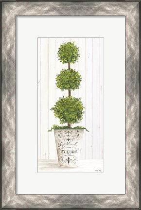 Framed Magnificent Topiary I Print