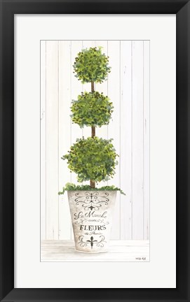 Framed Magnificent Topiary I Print