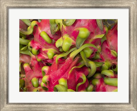 Framed Dragon fruit Print