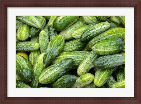 Framed Cucumbers Print