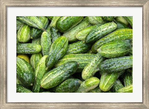 Framed Cucumbers Print