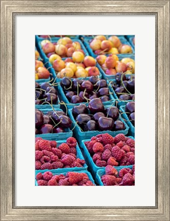 Framed Cherries and Berries Print