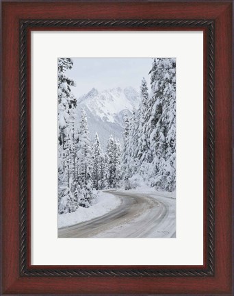 Framed Mount Baker Highway II Print
