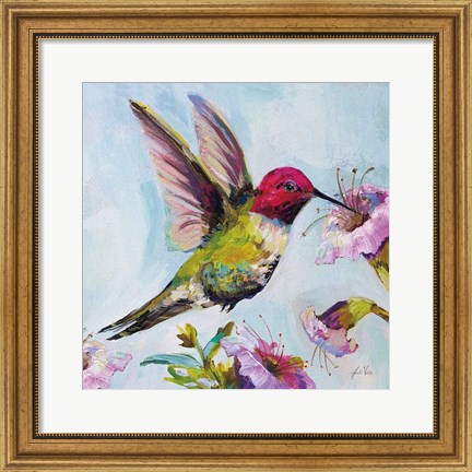 Framed Hummingbird I Florals Print
