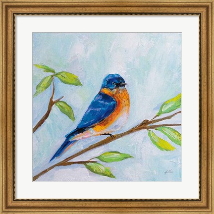 Framed Bluebird Print