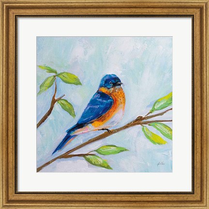 Framed Bluebird Print